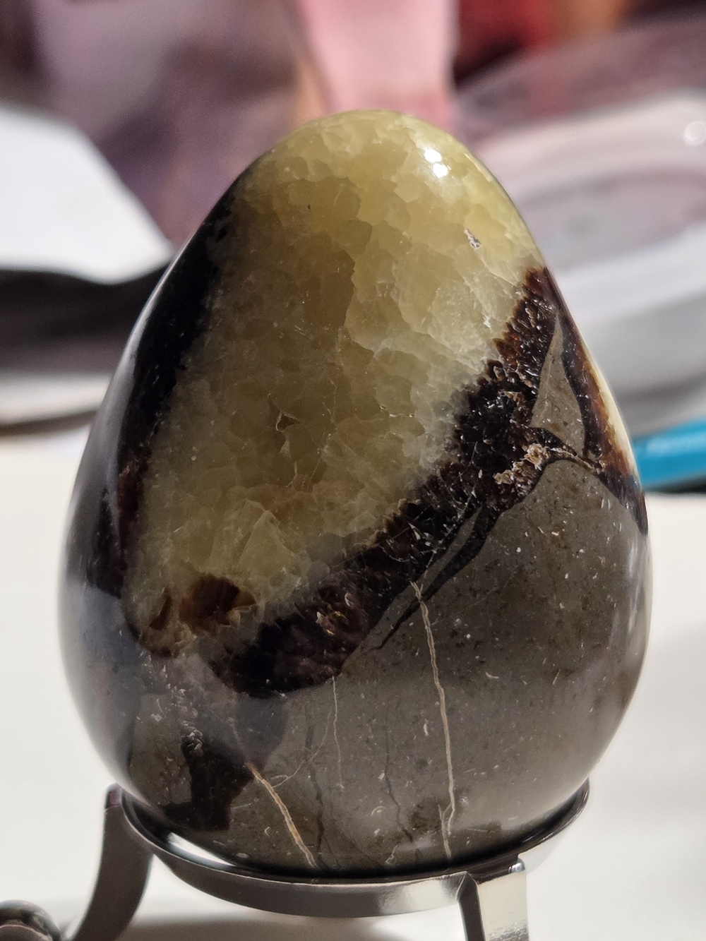 Polished Septarian Calcite "Dragon Stone" Egg - Picture 10 of 14